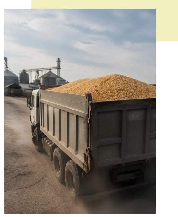 Перевозка сельхозпродукции навалом в Кизляр по цене от 3048 р. | Агросервис-Кзр