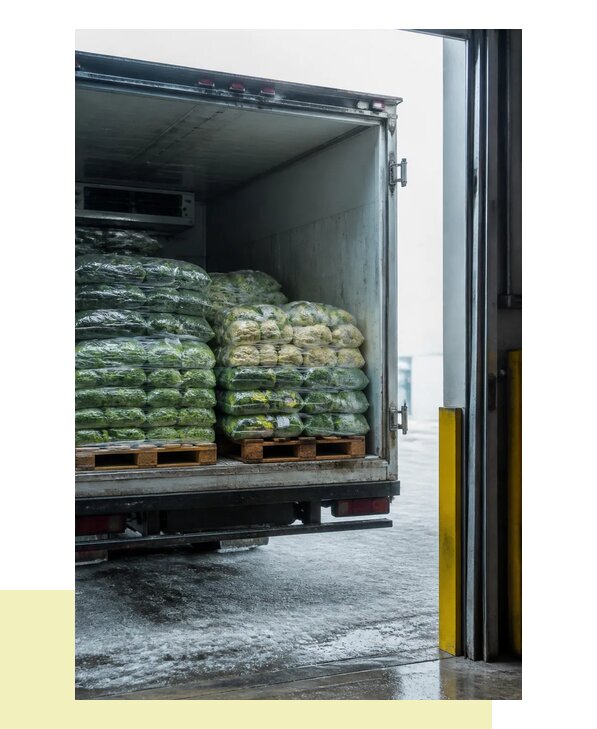 Перевозка замороженных овощей в Кизляр автотранспортом